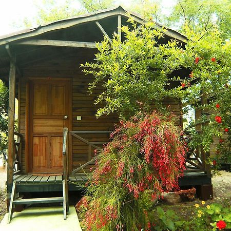 Отель Merhaba Bungalow Beykonak Номер фото